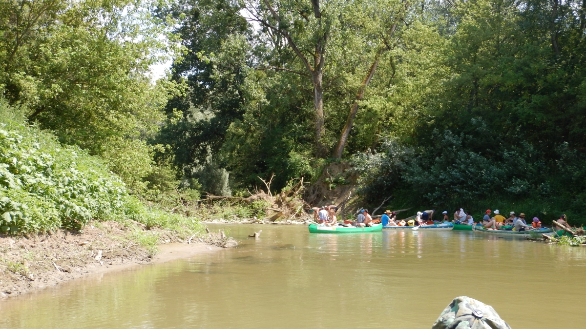 DSCN0137.jpg