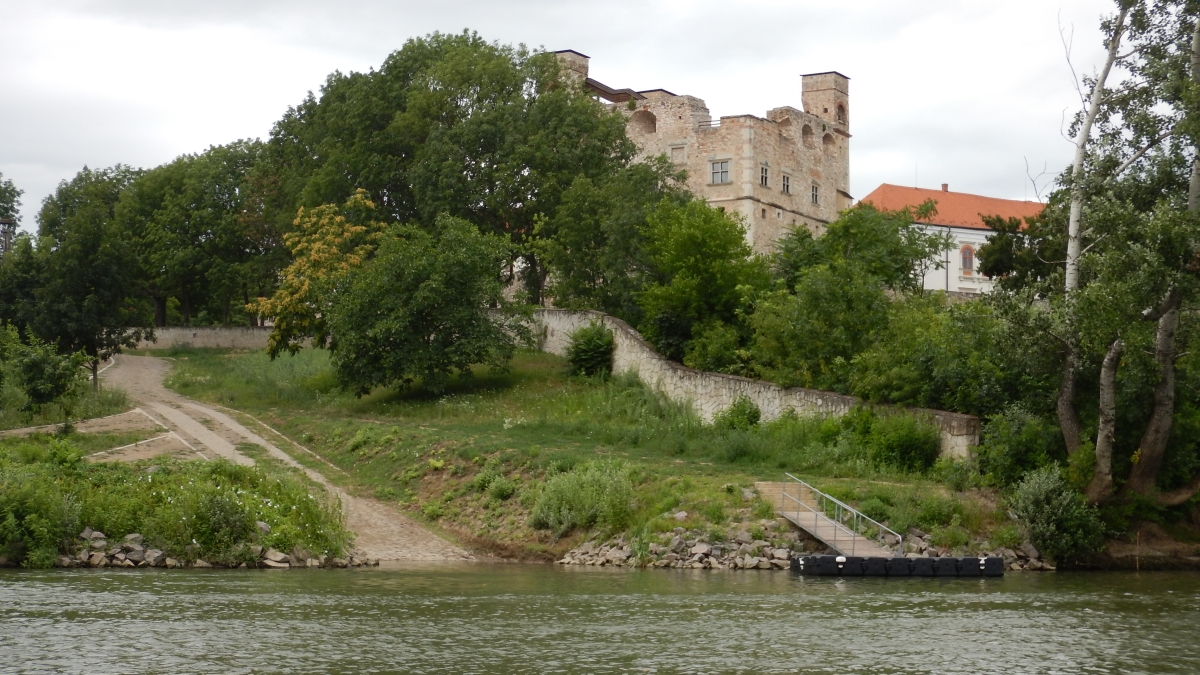 DSCN0240.jpg