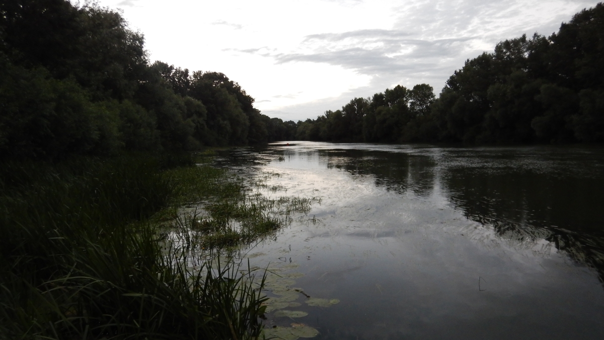DSCN0318.jpg