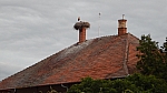 DSCN0304.jpg