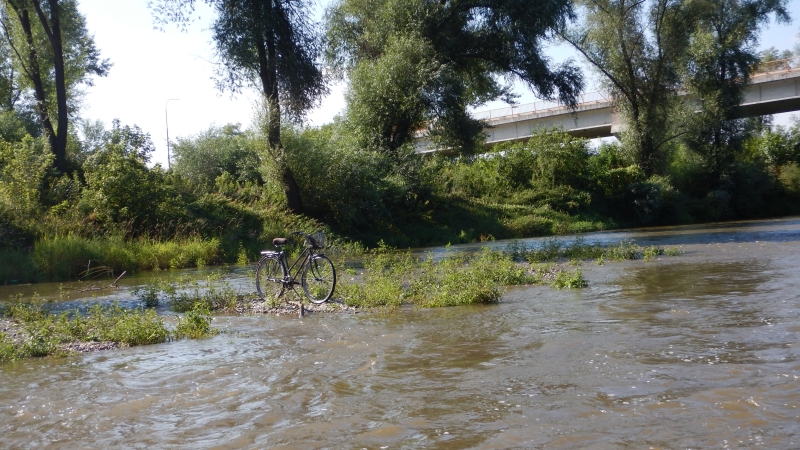 DSCN0913.jpg