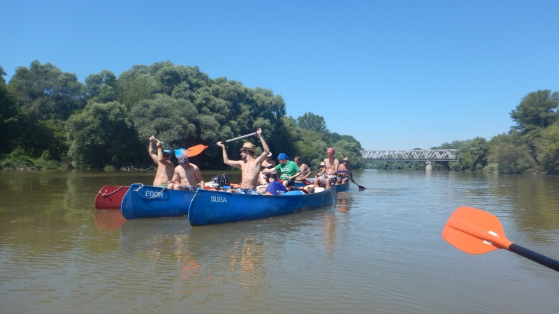 DSCN0954.jpg
