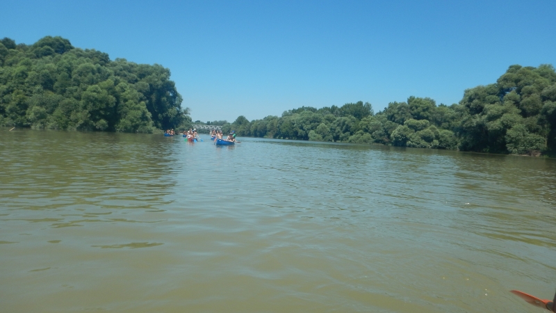 DSCN0970.jpg