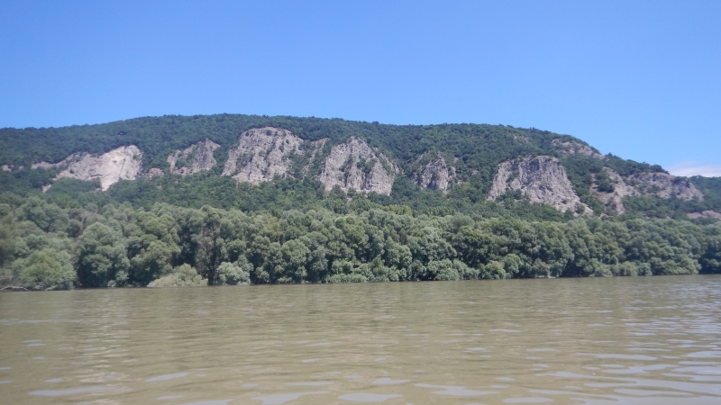 DSCN0993.jpg