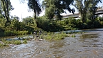 DSCN0913.jpg
