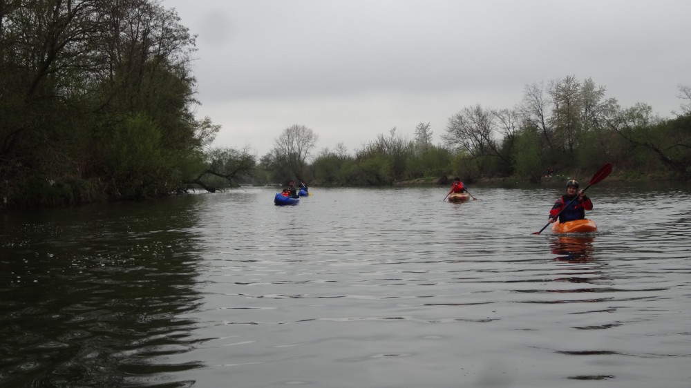 DSC07790.jpg