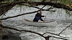 DSC07803.jpg