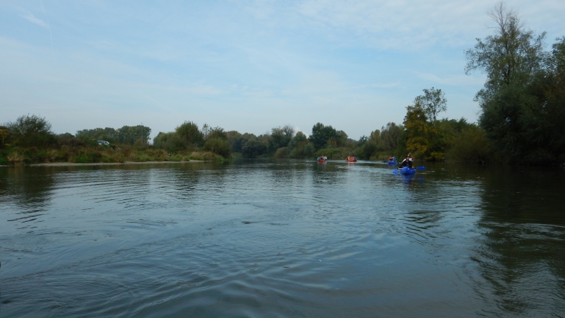 16_g_cup_037.jpg