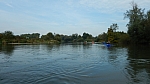 16_g_cup_037.jpg