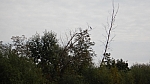 16_g_cup_040.jpg