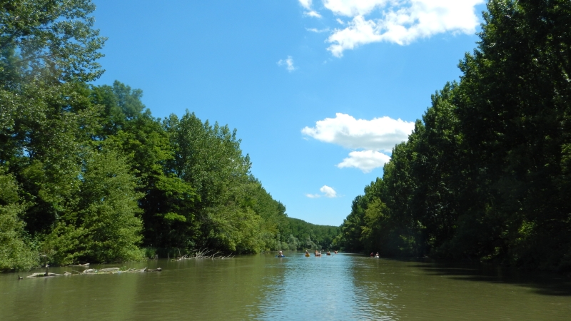 DSCN0043.jpg