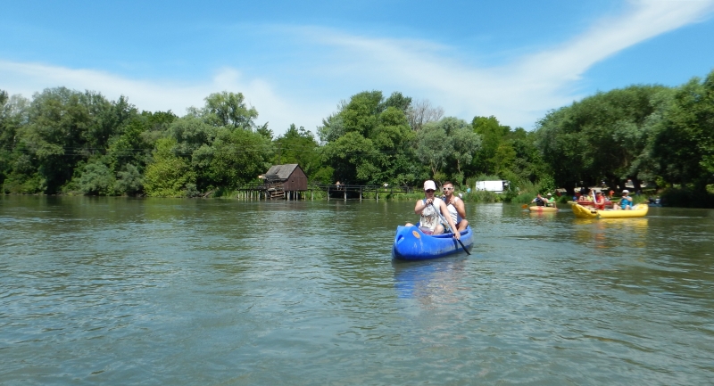 DSCN0081.jpg