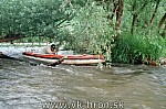 98hron16.jpg