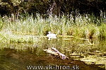 98_kl_md_16.jpg